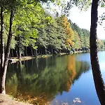 木屋 La Clef Des Bois - Cosy Et Calme Au Coeur De La Nature Ban-sur-Meurthe-Clefcy