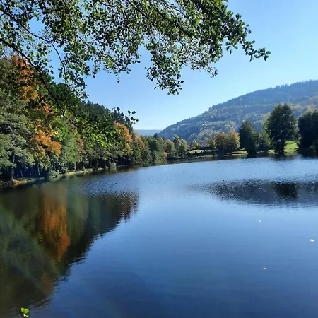 La Clef Des Bois - Cosy Et Calme Au Coeur De La Nature Ban-sur-Meurthe-Clefcy