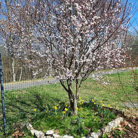 La Clef Des Bois - Cosy Et Calme Au Coeur De La Nature * Ban-sur-Meurthe-Clefcy