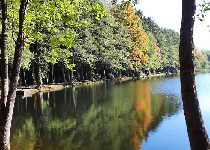 Horská chata La Clef Des Bois - Cosy Et Calme Au Coeur De La Nature Ban-sur-Meurthe-Clefcy