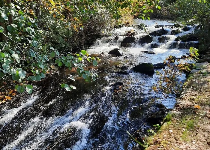 La Clef Des Bois - Cosy Et Calme Au Coeur De La Nature Chalet Ban-sur-Meurthe-Clefcy