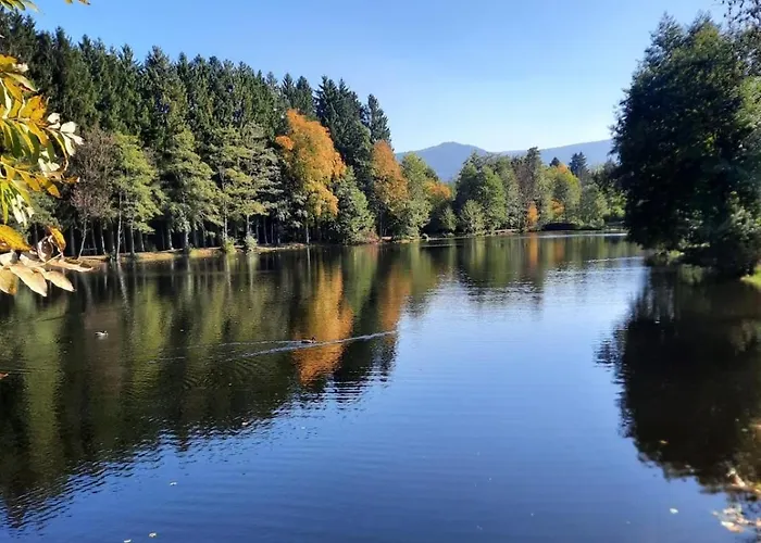 Horská chata La Clef Des Bois - Cosy Et Calme Au Coeur De La Nature *